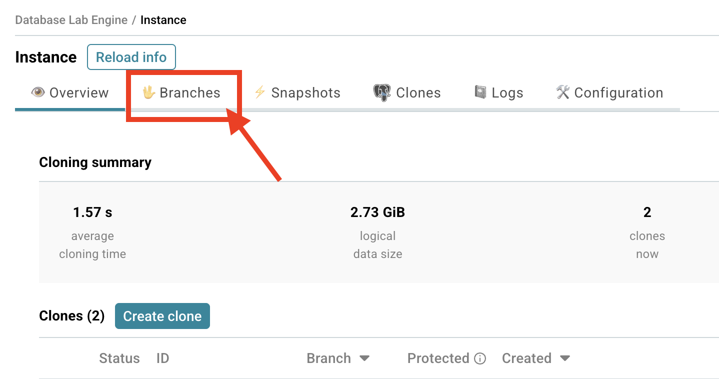 Database Lab instance page / Create branch