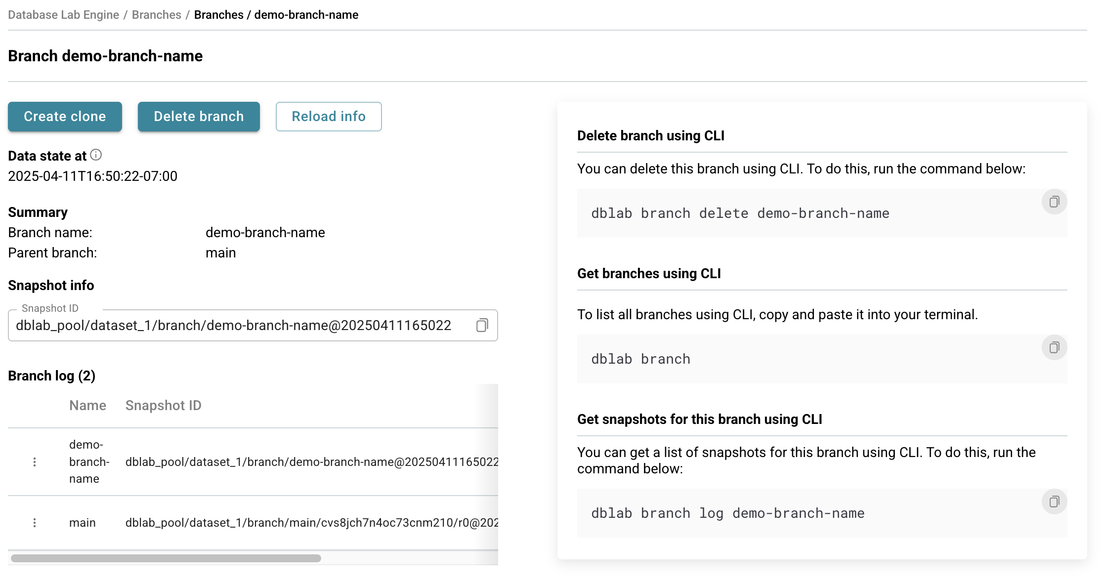 Database Lab instance page / Create branch