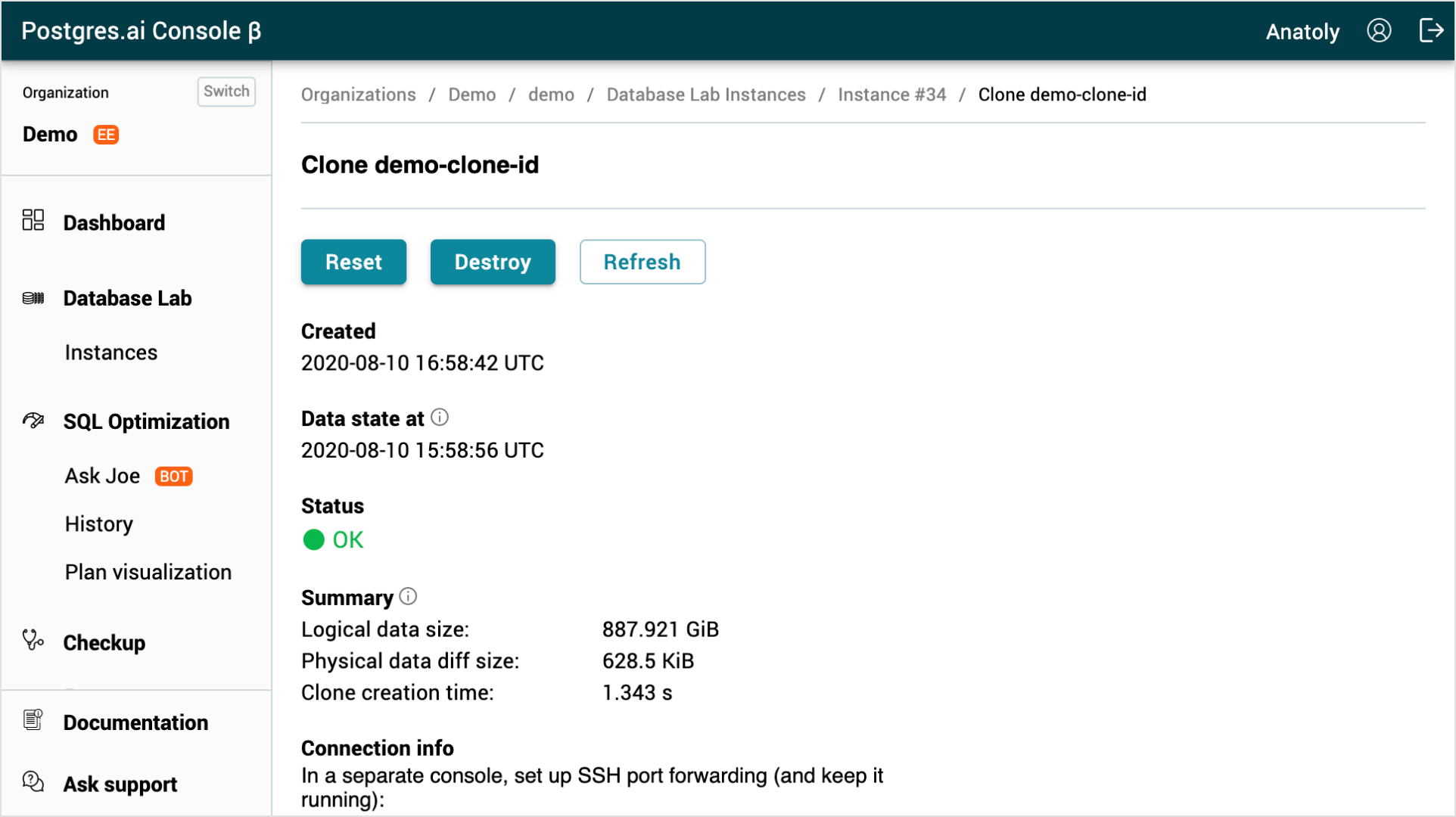 DBLab Engine clone page