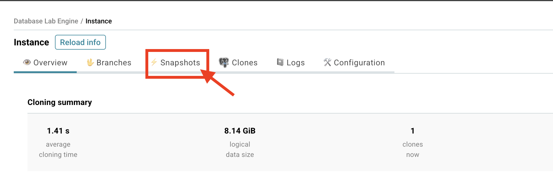 Database Lab instance page / Create snapshot