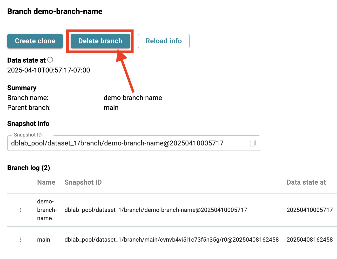 Database Lab instance page / Delete branch