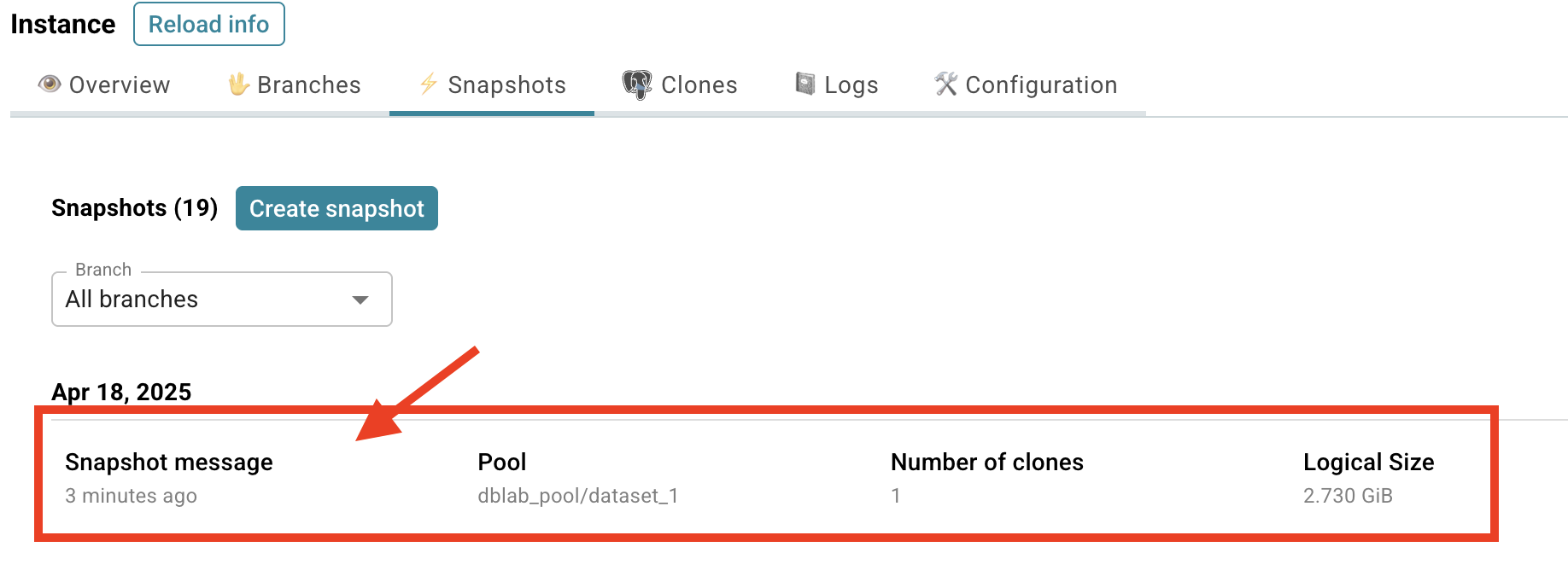 Database Lab instance page / Delete snapshot