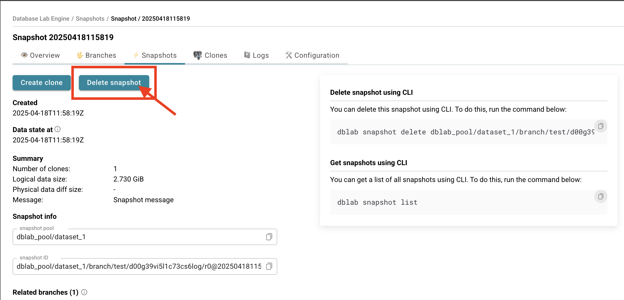 Database Lab instance page / Delete snapshot