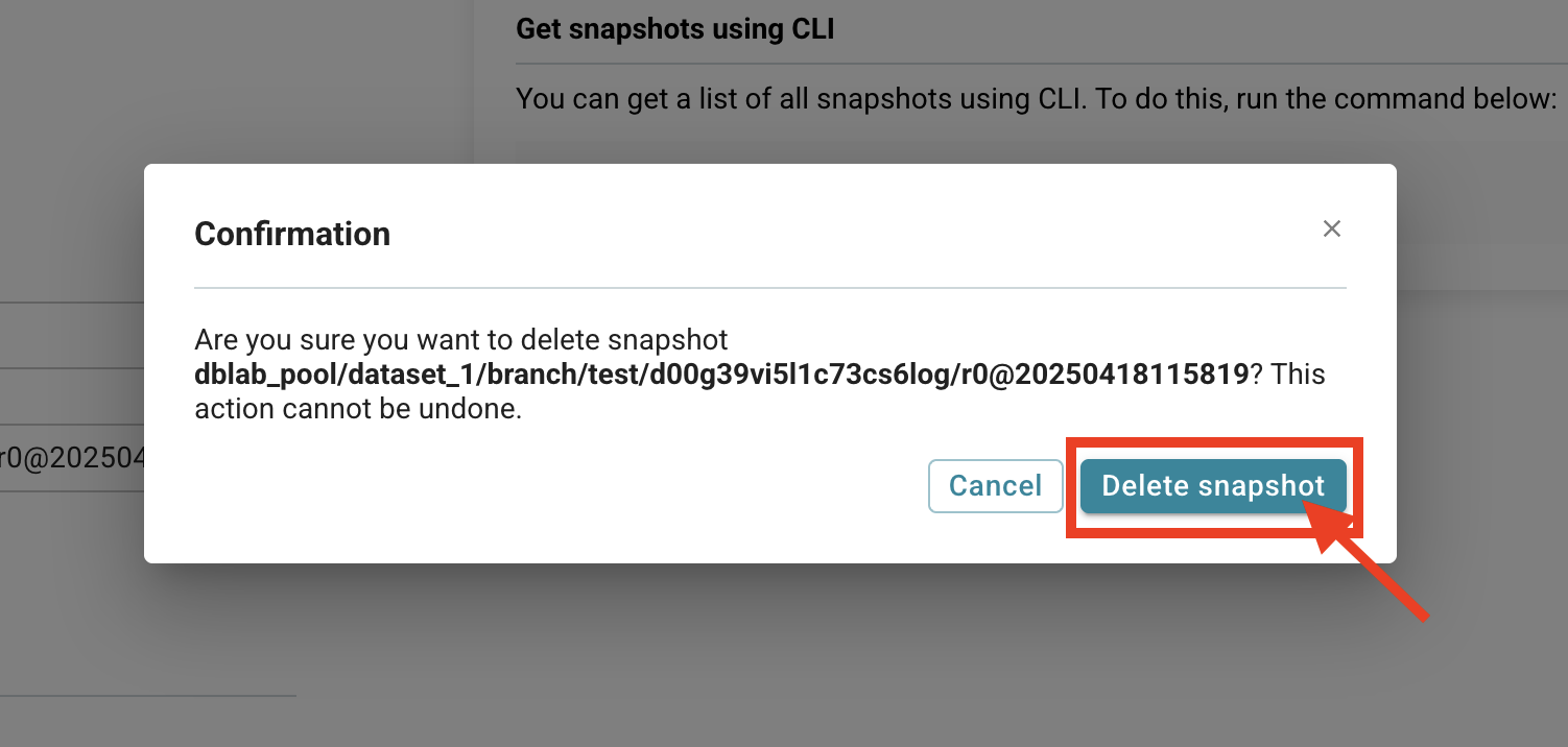 Database Lab instance page / Delete snapshot