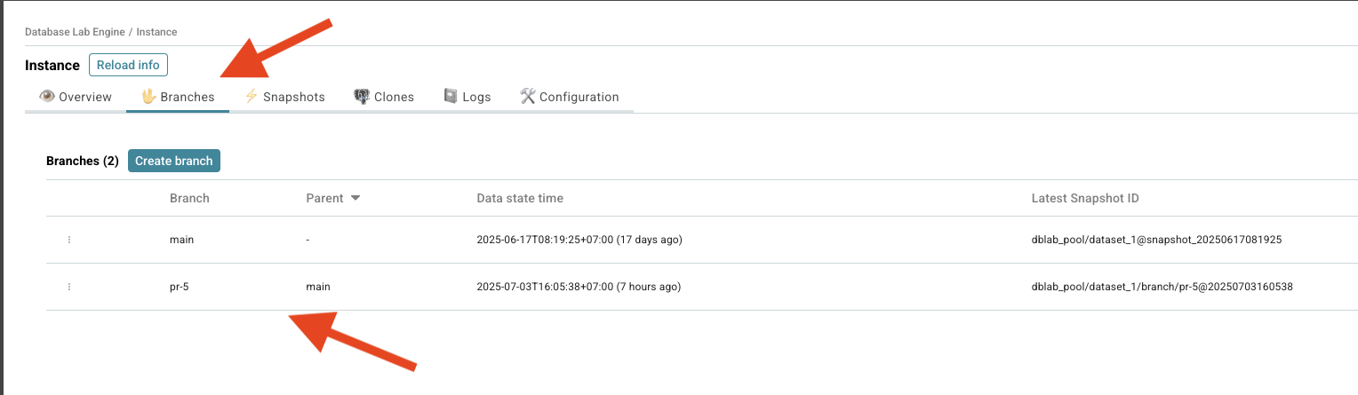 DBLab branch and clone creation
